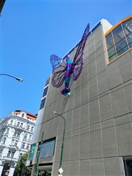 Výstava v obchodním domě